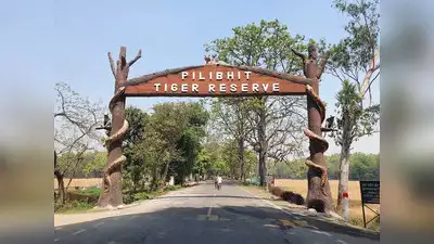 NGT seeks replies on encroachment, human-wildlife conflict in PTR: The wider industry impact