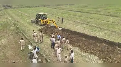 NGT seeks replies on encroachment, human-wildlife conflict in PTR: The wider industry impact