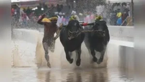Just as Mysuru Dasara has earned worldwide recognition, kambala too should achieve global