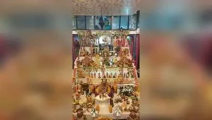 Jnaneshwari S Joshi, who holds a PhD in zoology, began celebrating Dasara gombe habba
