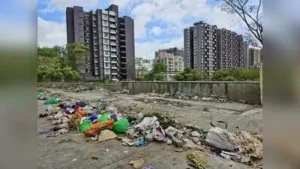 Pune: The Pune municipal corporation has collected fines worth: The wider industry impact