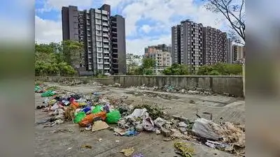 Pune: The Pune municipal corporation has collected fines worth: The wider industry impact