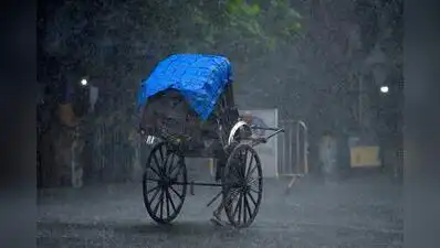 North Bengal had a seasonal rain deficit of 13%: The wider industry impact