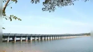 The Mangaluru Urban Development Authority (MUDA) will soon develop a park on 84 cents of land
