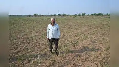 But I may have to work as a daily-wage worker to sustain my family,” the distressed farmer