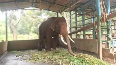 In a major setback to the state’s wildlife conservation efforts: The wider industry impact