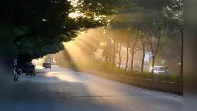 Nashik : A sharp drop in night temperatures swept across Maharashtra: The wider industry impact