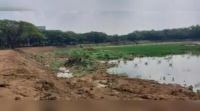 Elizabeth S, from Hebbal Nature Society, said Hebbal lake has long been a popular bird-watching