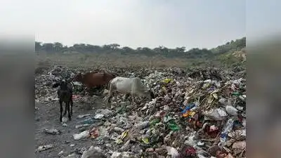 Garbage collection suffers over tender standoff with contractors: The wider industry impact