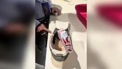 Bengaluru Customs officials at Kempegowda International Airport (KIA) Friday intercepted
