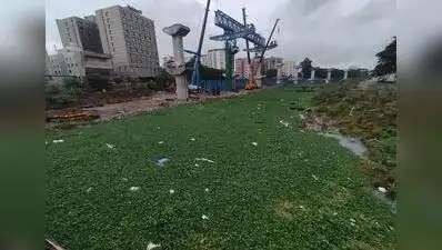GCC asks NHAI to clear Cooum obstructions by Oct 15: The wider industry impact