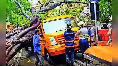 Mumbai: Multiple factors caused a peepal tree to crash on a school bus, killing an 11-year-old