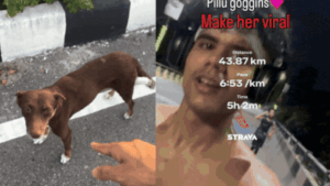 Meet Pillu Goggins, the stray who ran 38km without missing a beat — 'Pichhle janam mein athlete