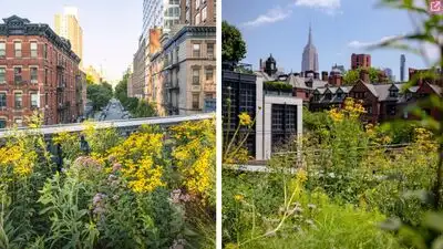 New York City’s High Line began in 1933 as the West Side Elevated: The wider industry impact