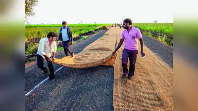 Across Tamil Nadu’s coir belt, workers like Revathy, many of them: The wider industry impact