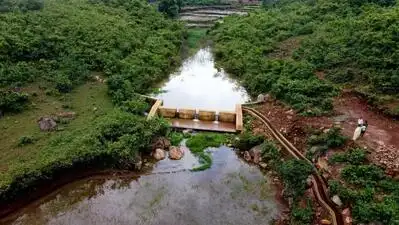 “More than 250 check dams will be built in forest areas during a three-day water conservation
