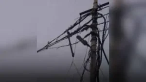 Kanpur: A 48-year-old contract lineman died after suffering an electric shock and falling about