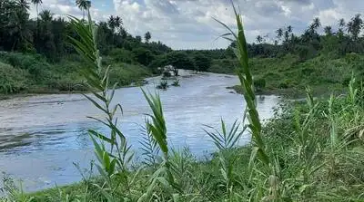 Field-level study to check Arkavathi pollution: The wider industry impact