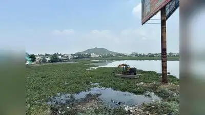 Unless this is stopped completely, the restoration will not achieve its purpose,” said M