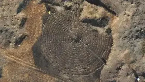 Our aim through this fresh excavation is to identify if a Roman: The wider industry impact