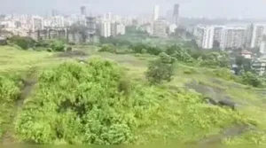“MP Dr Shrikant Shinde has planned the naval memorial at such a height of hill that the creek