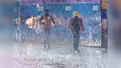 Chennai: Rapid urban expansion, shrinking vegetation and water: The wider industry impact