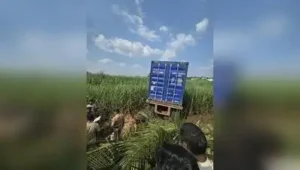 “The container vehicle, which was speeding, hit three to four bikes and ran over those
