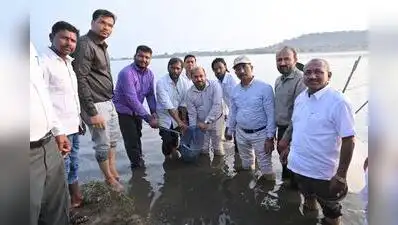 One of the biggest casualties was the Deccan mahseer, Maharashtra’s: The wider industry impact