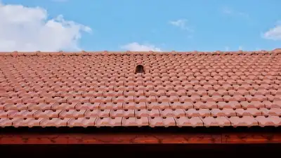 Researchers coated a brick bungalow roof with a self-cleaning: The wider industry impact