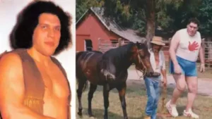 André the Giant had spent the final decade of his life in his North Carolina property before it