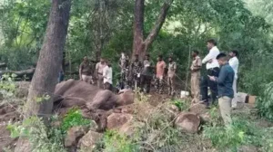 Female elephant dies despite treatment in ATR: The wider industry impact
