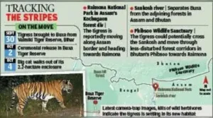 State forest minister Manoj Kumar Oraon told TOI that the tigress was in very good health