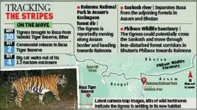 State forest minister Manoj Kumar Oraon told TOI that the tigress was in very good health
