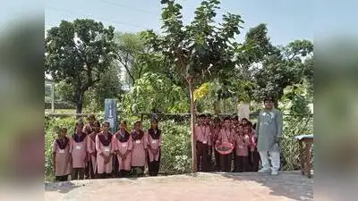 UP schools launch 'Nutrition Gardens' to boost midday meals: The wider industry impact