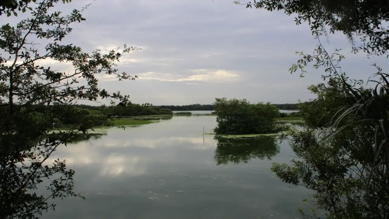 In 1970, a Florida water district built a dike and control structure on a former phosphate mining