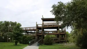 In 1970, a Florida water district built a dike and control structure on a former phosphate mining
