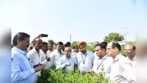 Central team visits Marathwada farms amid rain deficit & low reservoir levels — Taking stock