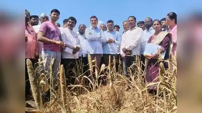 State agriculture minister Dattatray Bharne on Friday said crop loss assessment of over 1 crore