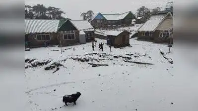 Tourists heading to Sandakphu, at 11,929 feet, will now have: The wider industry impact