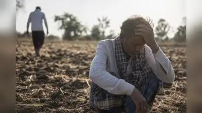“It will curb seasonal migration, boost local employment and improve access to welfare schemes