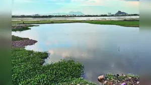 Chennai: Tamil Nadu has taken up more than 40,000 water-conservation: The wider industry impact