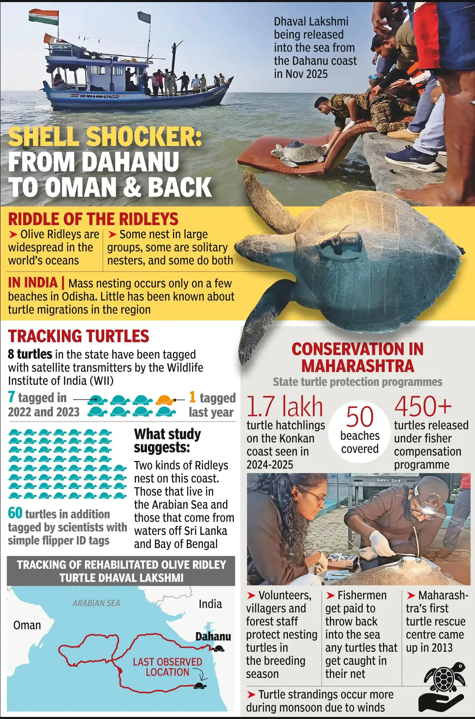 Dhaval Lakshmi, the turtle, is the only one among the state's eight: The wider industry impact