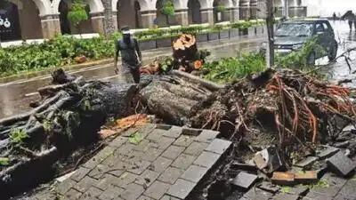 720 killed, 2,408 injured in Mumbai disasters over 6.5 years: RTI