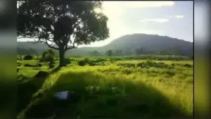 TN rolls out three new hotspots for camping, glamping