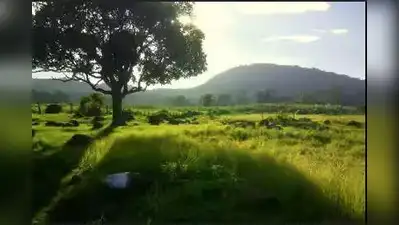 TN rolls out three new hotspots for camping, glamping