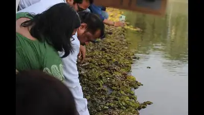 Panvel civic body ties up with Indian Council of Agricultural: The wider industry impact
