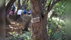 Usually, the fort opens from Nov 1, but this year, due to lack of rains, the forest department