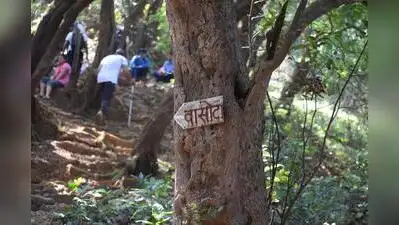 Usually, the fort opens from Nov 1, but this year, due to lack of rains, the forest department