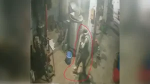 Kanpur: A thief stole 18 kg silver powder worth about Rs 45 lakh from a refining factory