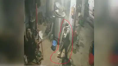 Kanpur: A thief stole 18 kg silver powder worth about Rs 45 lakh from a refining factory
